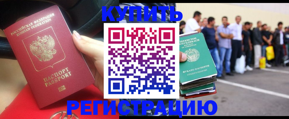 где прописаться в Коле